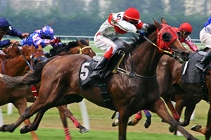horse1