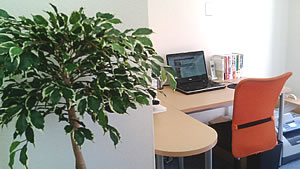 office